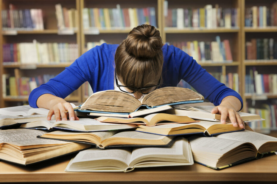 symbol of the exam "online redaction & e-Portfolio"; und der Website Erstellung